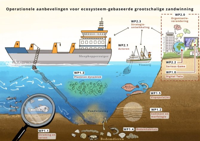 De illustratie geeft operationele aanbevelingen weer om ecosysteem-gebaseerde grootschalige zandwinning mogelijk te maken, zoals bijvoorbeeld organisatie-verandering en strategieontwikkeling.