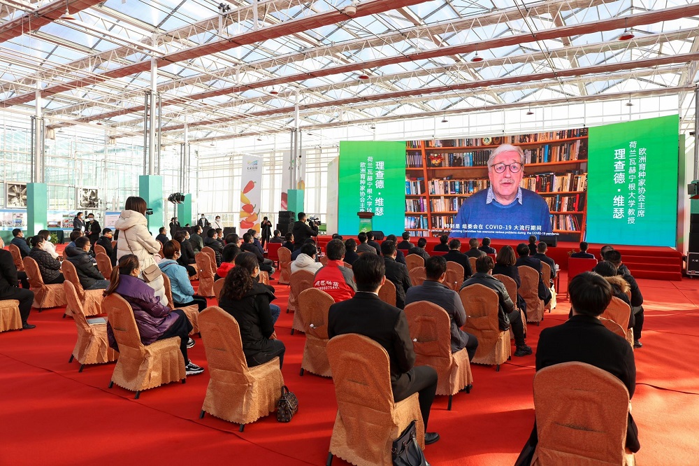 A presentation by Richard Visser at the 21st China Shouguang International Vegetable Seed Exhibition in Weifang in July 2021, online as a result of the coronavirus. Photo: Richard Visser