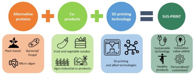 Alternative proteins (Plant based, bacterial/fungal, micro-algea) + Co-products (Fruit and vegetable surplus, agro-industrial co-products) + 3D printing technology = SUS-PRINT (Sustainable technology, Innovative value-added, Healthy products, Personalised/customised)