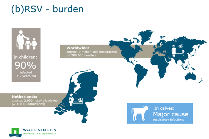 Worldwide consequences of RSV