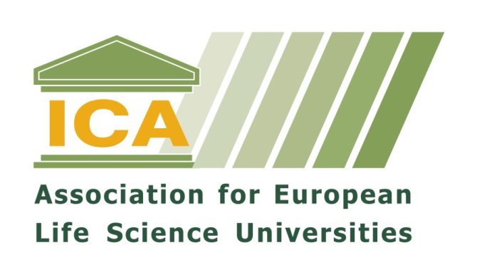 ICA association