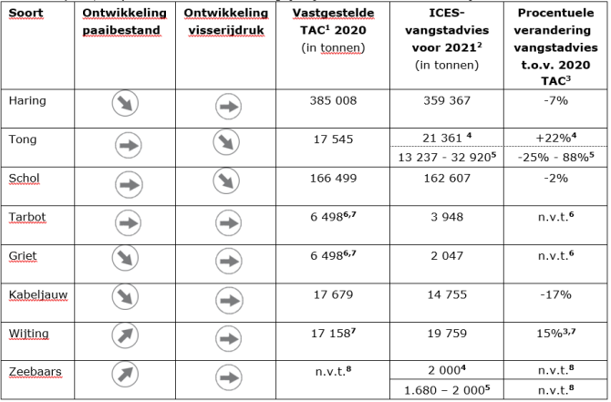 Table: Developments spawning and fishing pressure, total allowable catches in 2020 and ICES advice for 2021 (in tonnes) of fish species that are important for Dutch fisheries.
