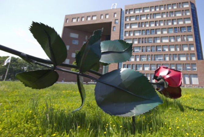 The artwork Een roos van staal (A rose of Steel) by Rob Logister & Marie Raemakers is located on the campus outside the Forum building. More information: <L CODE="C10">Art Route Wageningen Campus</L>. Photo: WUR